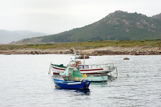 Camelle in Galicia, Spain