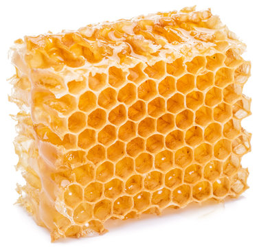 Honeycomb. High-quality picture.
