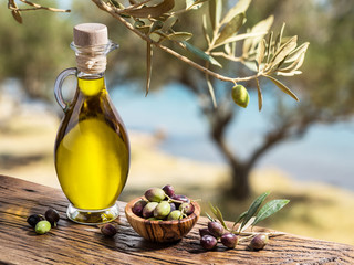 Olive oil and berries are on the wooden table under the olive tr