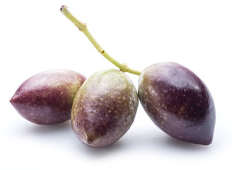 Half-ripe (semi-ripe) fresh olives with leaves.