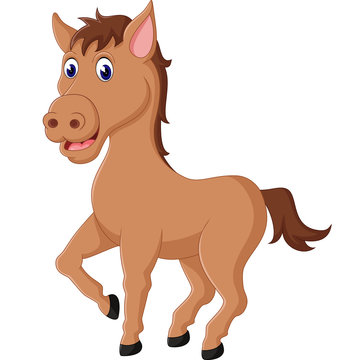 illustration of Cute horse cartoon