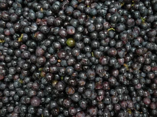 Foto auf Leinwand rode druiven close up © Carmela