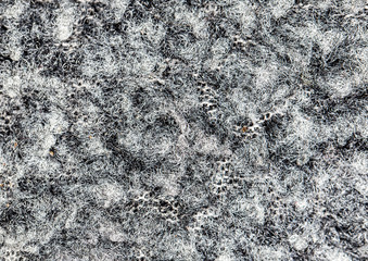 faux fur as background