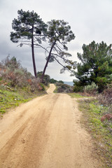 Camino de Navaluenga. Sierra de Gredos. Avila