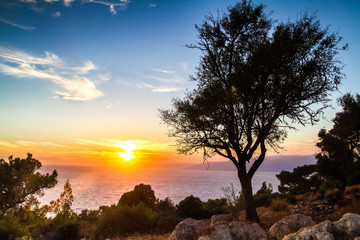 Silhouette of a tree against a blazing sunset.