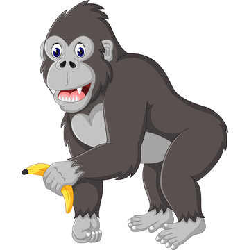 illustration of Angry gorilla cartoon 