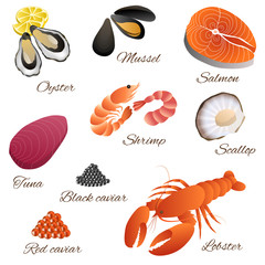 Sea food fish mussel shrimp oyster salmon lobster tuna red black caviar scallop set illustration vector