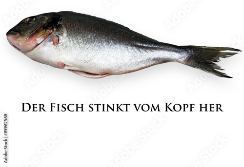 Der Fisch Stinkt Am Kopf Der Fisch Stinkt Am Kopf