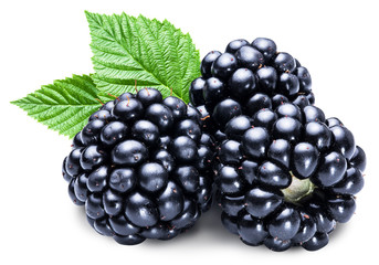 Three ripe blackberries on the white background.