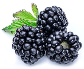 Three blackberries on the white background.