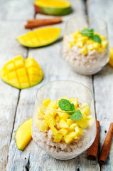 Mango cinnamon rice pudding