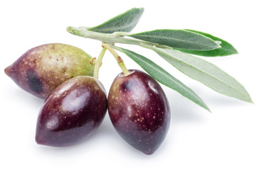 Three fresh olives with leaves on the white background.