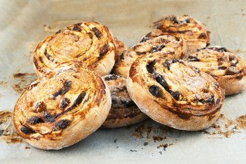 Freshly baked sugar cookies