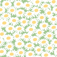 Seamless floral pattern with chamomiles on green background