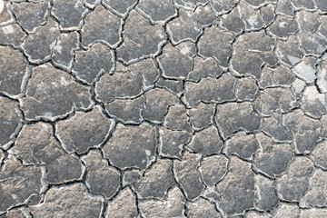 crack earth texture. barren environmental global extreme nature