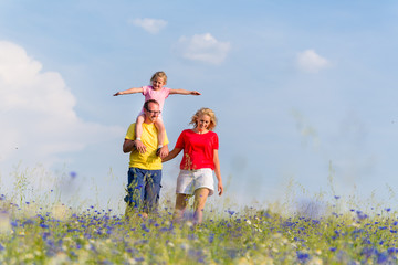 Family having walk on meadow with flowers