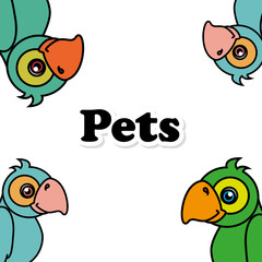 Pets and animals