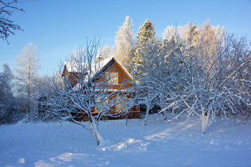 зимний дом и заснеженные деревья ,освещенные солнцем