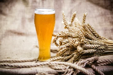 Foto auf Leinwand Light wheat beer and a bunch of wheat © sergantstar