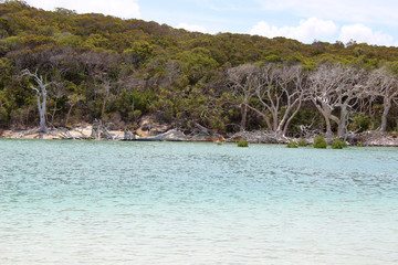 Teil des Whitehaven Beach in Australien. Aufgenommen im November 2015 auf der Whitsunday Insel.