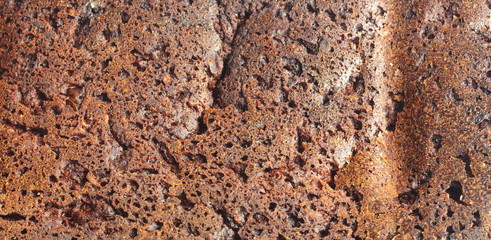 texture in the form of bread