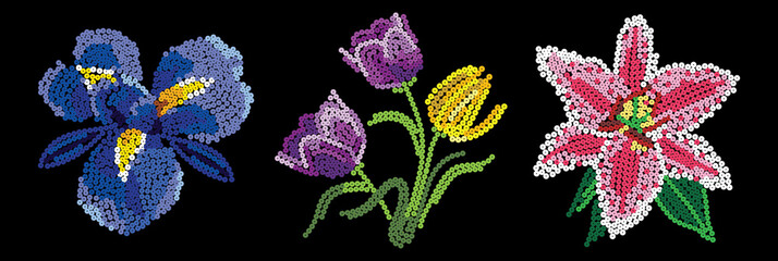 garden flowers of sequins or iris, tulip, lily on a black background