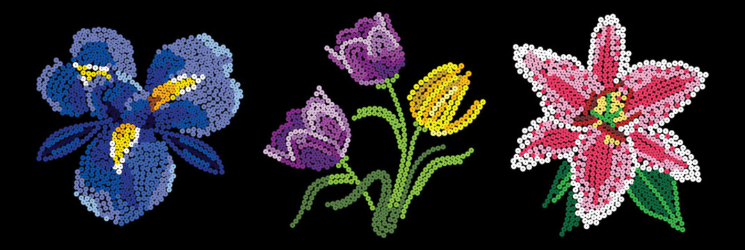 Fototapeta garden flowers of sequins or iris, tulip, lily on a black background