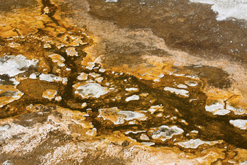 Abstract orange and white patterns in geothermal area, Yellowstone National Park, Wyoming.