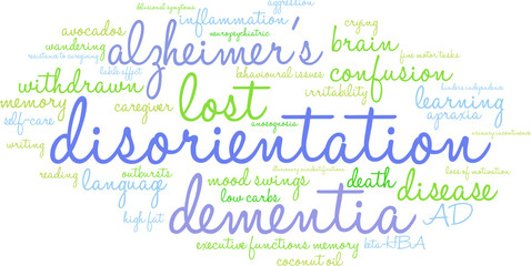 Disorientation Word Cloud