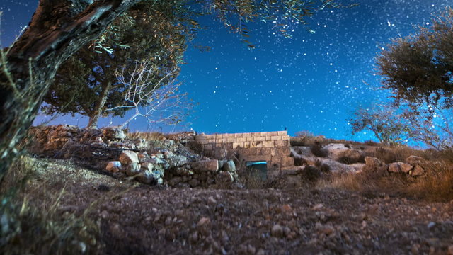Panning shot of Astro time-lapse with olive trees in Bethlehem, Israel