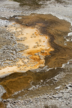 Orange stripes in hot spring runoff over limestone rock, Yellowstone.
