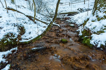 Close up of small stream in winter forest