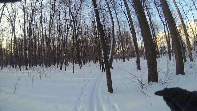 Father and son skiing in the woods, GoPro shot