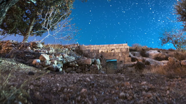 Astro time-lapse with olive trees in Bethlehem, Israel. Cropped.