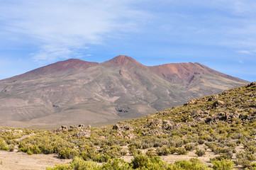 in the High Andean Plateau, Bolivia