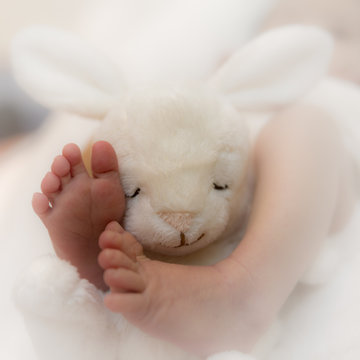 Kleine Füße von Neugeborenen mit Plüschtier