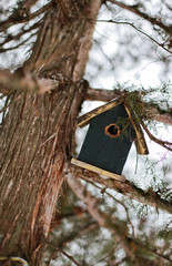 Little wooden bird house in a tree
