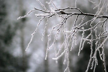 Зимний пейзаж