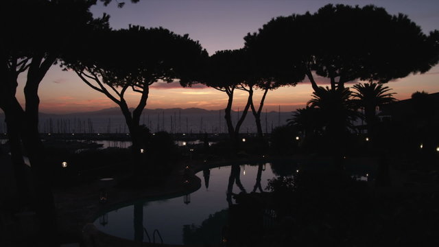 Trees silhouetted at sunset in Punta Ala Italy.