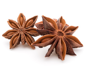 Star anise spice fruits and seeds isolated on white background c