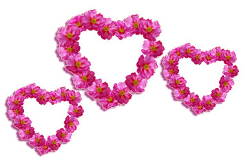 Heart of flowers rose isolated on white background.