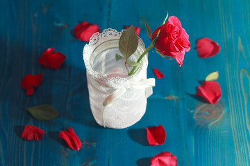 red rose in a vase