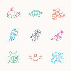 Octopus, turtle and dolphin icons. Jellyfish.
