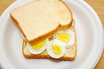 Whole Egg Sandwich for Lunch or Breakfast