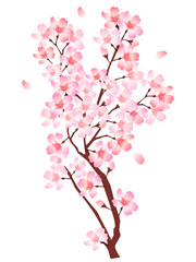 桜　春　花　アイコン