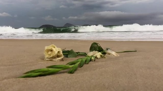 Religious offering of flowers to the goddess Yemanja (Iemanja) against a background of slow motion waves on Ipanema Beach in Rio de Janeiro, Brazil
