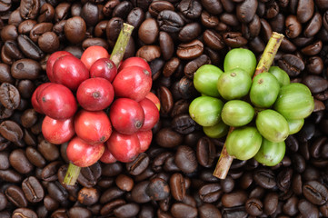 Fresh coffee beans on coffee beans backgourng