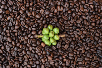 Fresh coffee beans on coffee beans backgourng