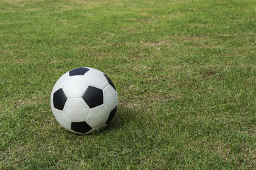 Fototapeta premium soccer ball on green grass background