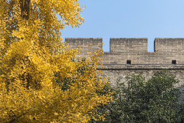 the ancient city wall of xi'an © lujing